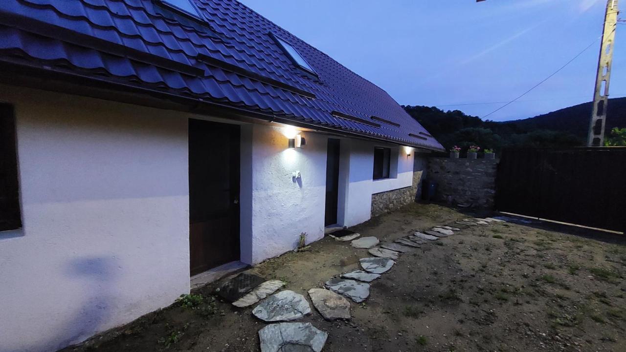 Casa Noua Villa Sasca Montană Buitenkant foto