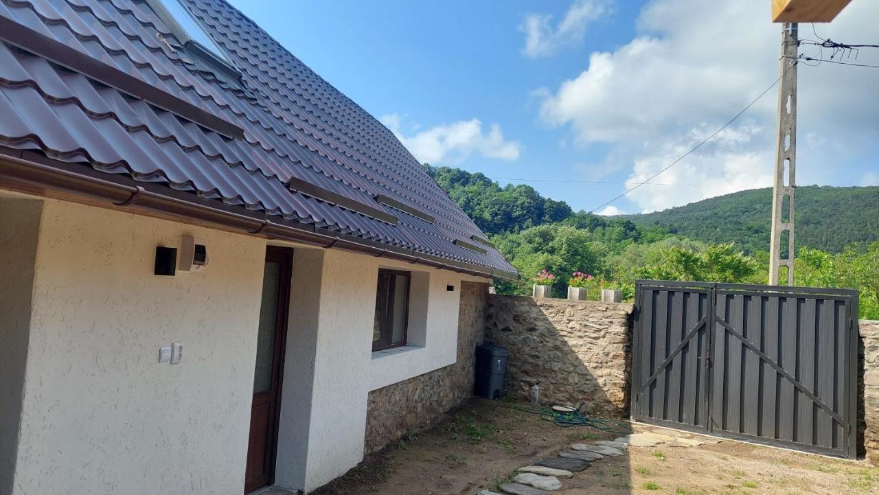Casa Noua Villa Sasca Montană Buitenkant foto