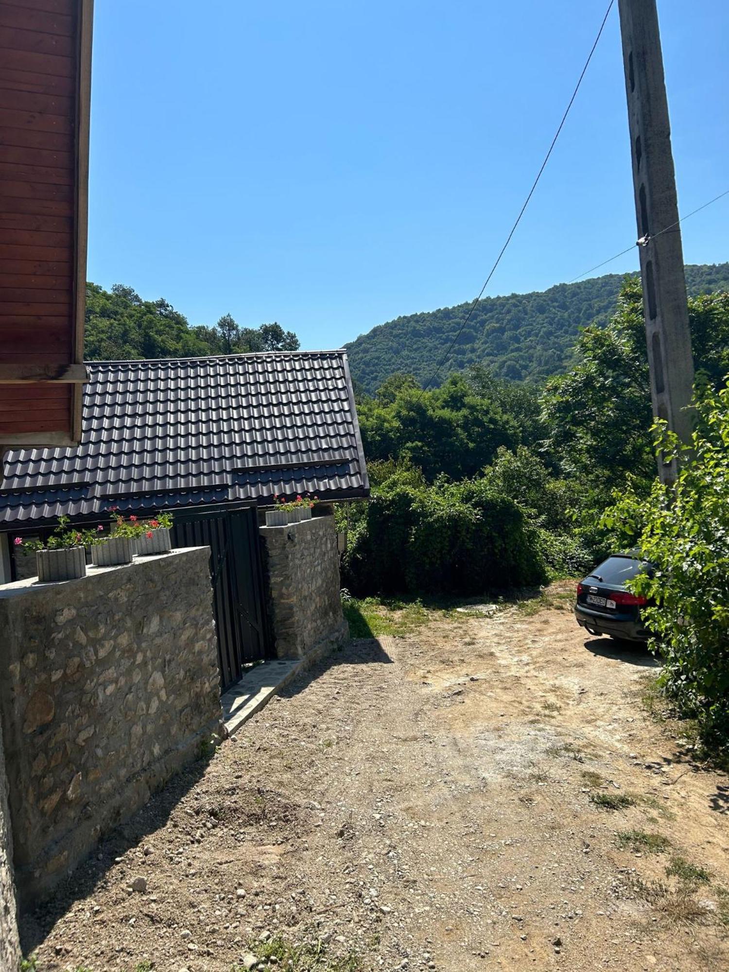 Casa Noua Villa Sasca Montană Buitenkant foto