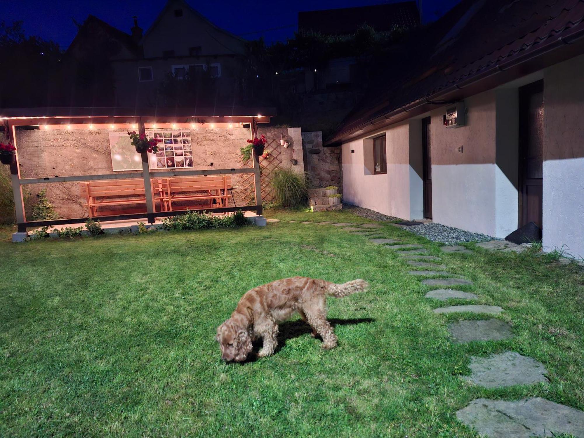 Casa Noua Villa Sasca Montană Buitenkant foto